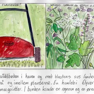 Kragetæer og kruseduller
